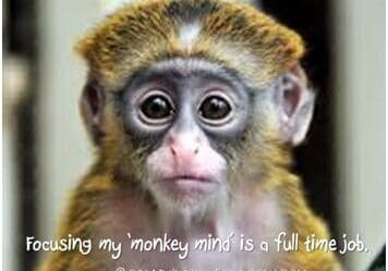 Focusing my "monkey mind" is a full time job